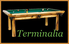 Modle de billard Terminalia